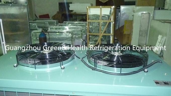 Anzeigen-Gefrierschrank des Supermarkt-R134a/R22 3000 * 1060 * 2000MM