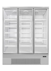 Tiefkühlverfahren-Supermarkt-kommerzieller aufrechter Kühlvitrine-Gefrierschrank für Tiefkühlkost