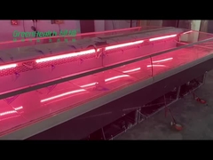 Edelstahl-Fisch-frischer Feinkostgeschäft-Fleisch-Kühlschrank für Metzger Shop