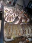 Fisch-Schaukastenfische 2m Fische Anzeige gefrorene entgegengesetzt für Supermarktanzeige