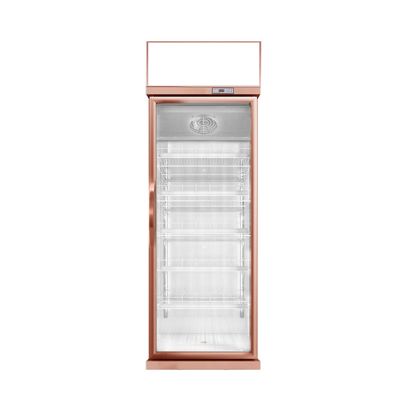 457L Mini-Glas-Tür-Display-Kühlgerät 1 Tür-Display-Frieser für US-Standard 17 Cu.Ft.