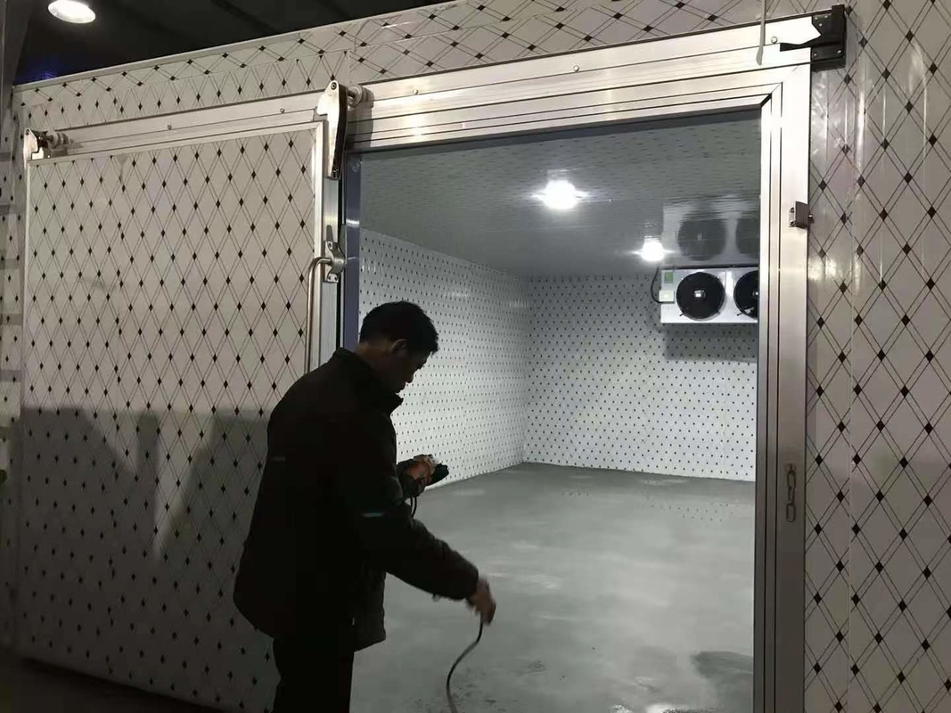 Kühlraum für Fisch- und Fleischgefriererei mit automatischem Steuerungssystem