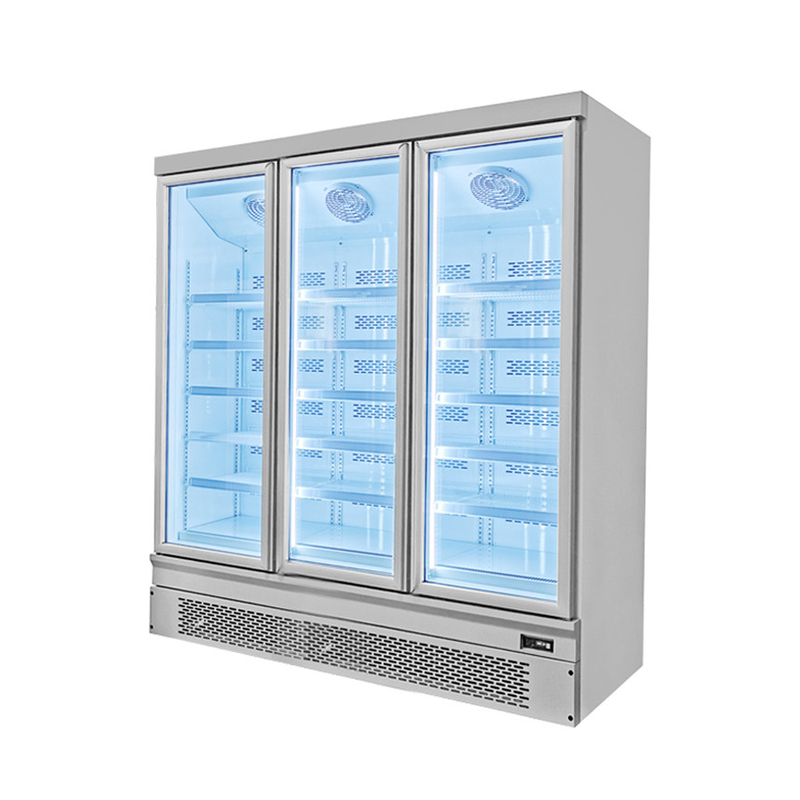 Energieeffizient 1 2 3 Glas Tür Gefrierschrank mit schneller Automatik Hintertür
