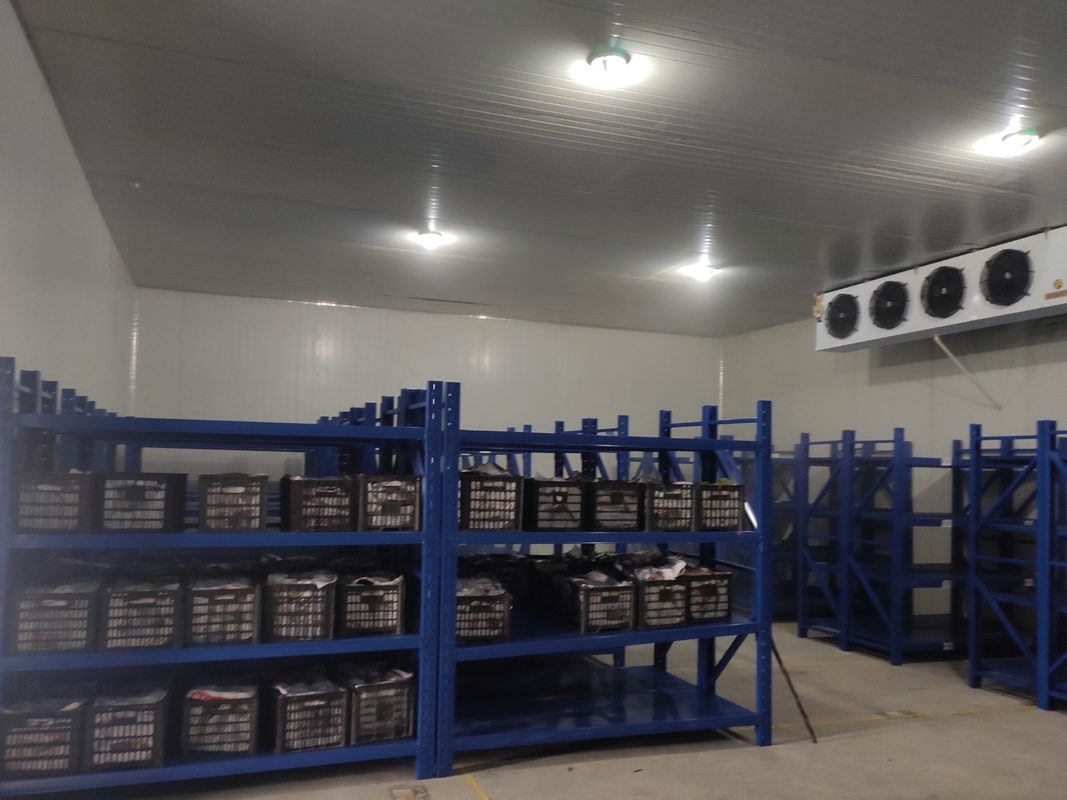 Kleine Kühlräume Kühlgeräte Preis Kühlräume für Fleisch und Meeresfrüchte