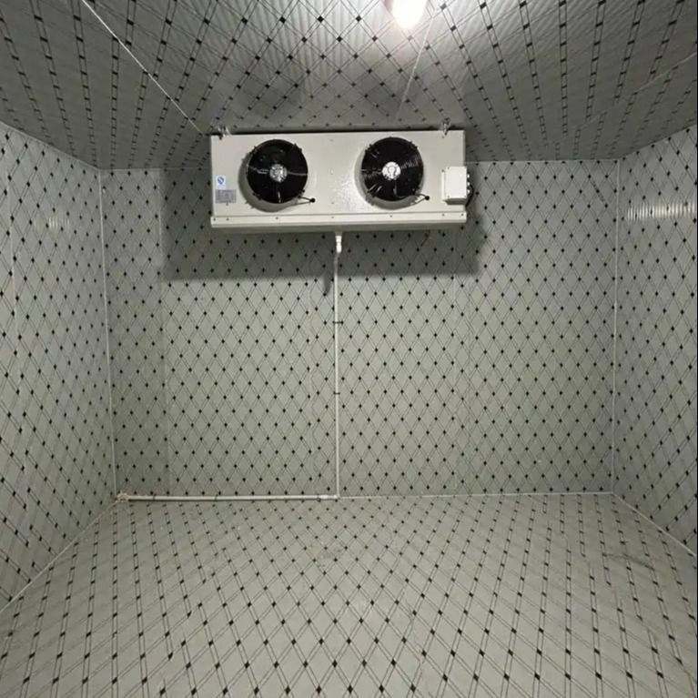 Gewerblicher Weg in den Kühlraum Gefrierschrank PU Isolierplatten Schwingetür Schnell installieren Meeresfrüchte