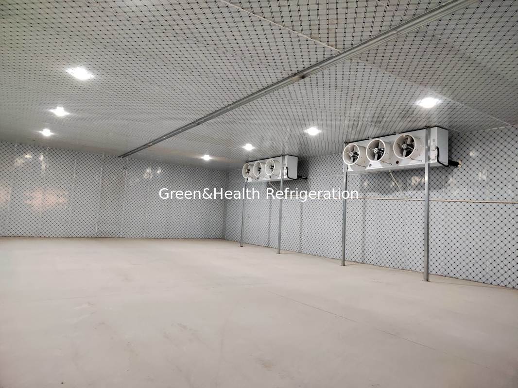 Kühlraum für Fleisch und Meeresfrüchte mit Energie-Isolierung und langlebigen Paneelen