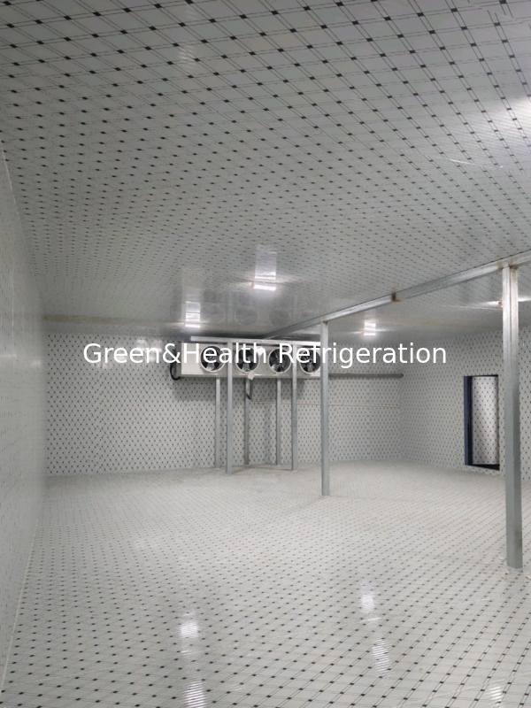 Anpassbarer Kühlraum in verschiedenen Größen und Temperaturbereichen für Ihre individuellen Anforderungen verfügbar