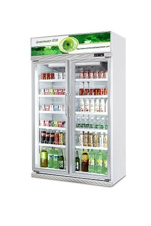 CER Handelsgetränkekühlvorrichtung zwei Glas-Tür-Kühlschrank-Gefrierschrank-Anzeigen-Schaukasten