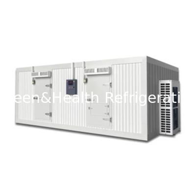 Anpassbarer Kühlraum für Rindfleisch und Fleisch Gefrierraum