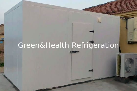 PU-Isolierpaneel und Luftkühler-Verdampfer-Fischlager-Gefrierschrank für Ihre Geschäftsanforderungen