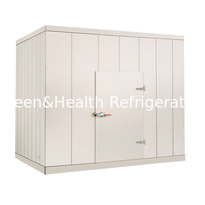 220V / Handelsweg 380V im kälteren Raum für Gemüsefleisch-Meeresfrüchte