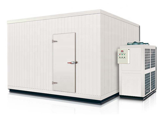 Großes Größen-Kühlraum-Kühler-Kühlraum-Lager kundengebundene Größe für Tiefkühlkost